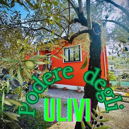 Podere Degli Ulivi Family Villa Serravalle Pistoiese Exterior foto